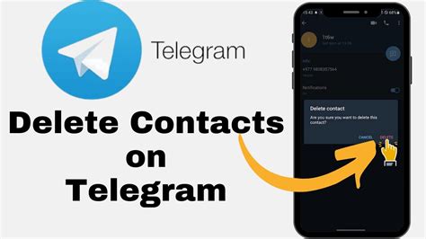 Telegram: Contact @sassy